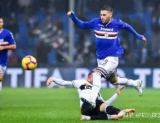 九州娱乐app-奥格斯堡客场逼平对手，保持不败战绩！的简单介绍